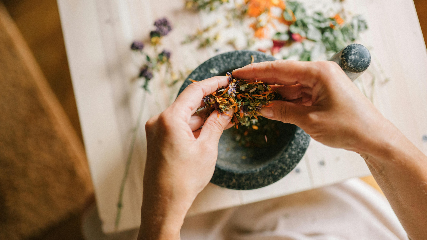 flat lay of adaptogenic herbs used in traditional chinese medicine for hair and skin health