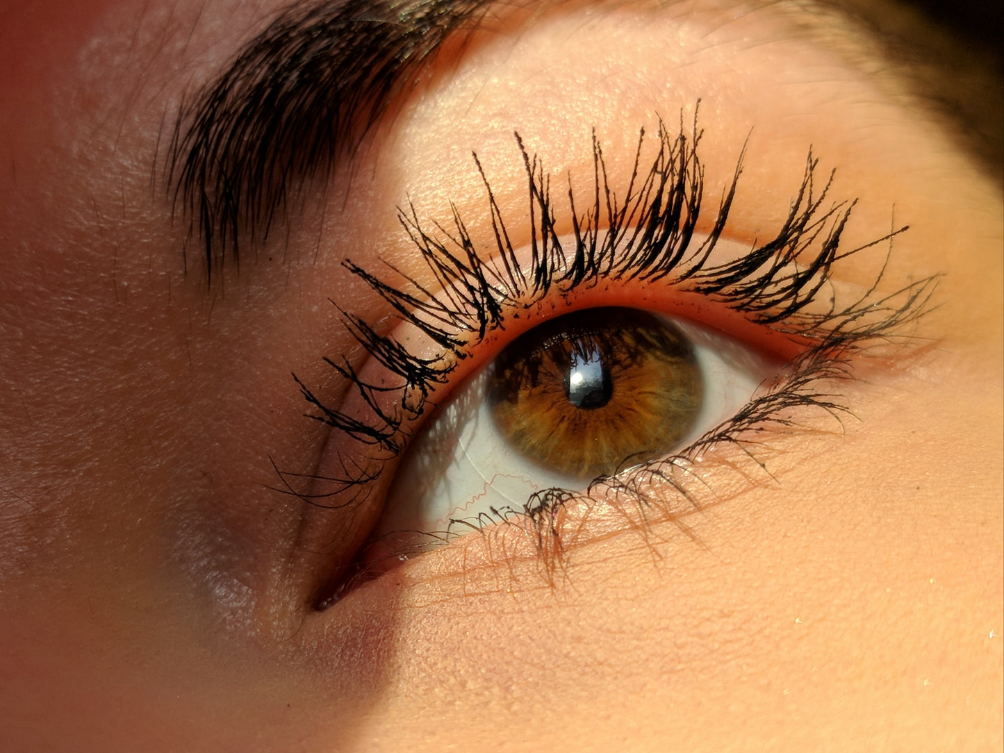 Lash Growth Serum Exposed: A Case Study