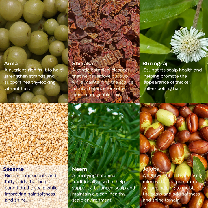 
                  
                    Renaissance Nourishing Pre-Wash Hair Oil
                  
                