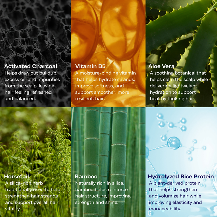 
                  
                    Obsidian Volumizing & Anti-Pollution Scalp Scrub Shampoo
                  
                