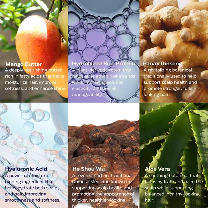 
                  
                    Exploration 01 Ampoule Repair Shampoo
                  
                