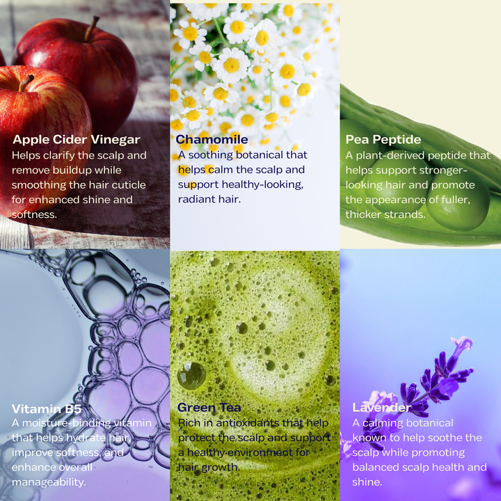 
                  
                    Antarctic ACV Hair Shine Glass Rinse for pH Balance
                  
                